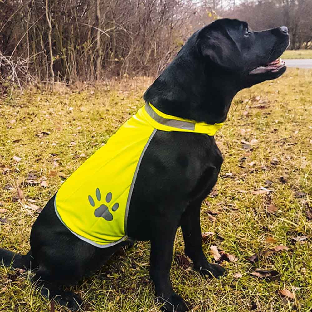 Hundewarnweste - 3 Größen - in Gelb - mit Werbeanbringung