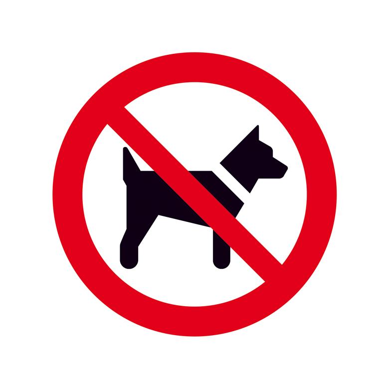 Verbotsschild - Mitführen von Hunden (Tieren) verboten