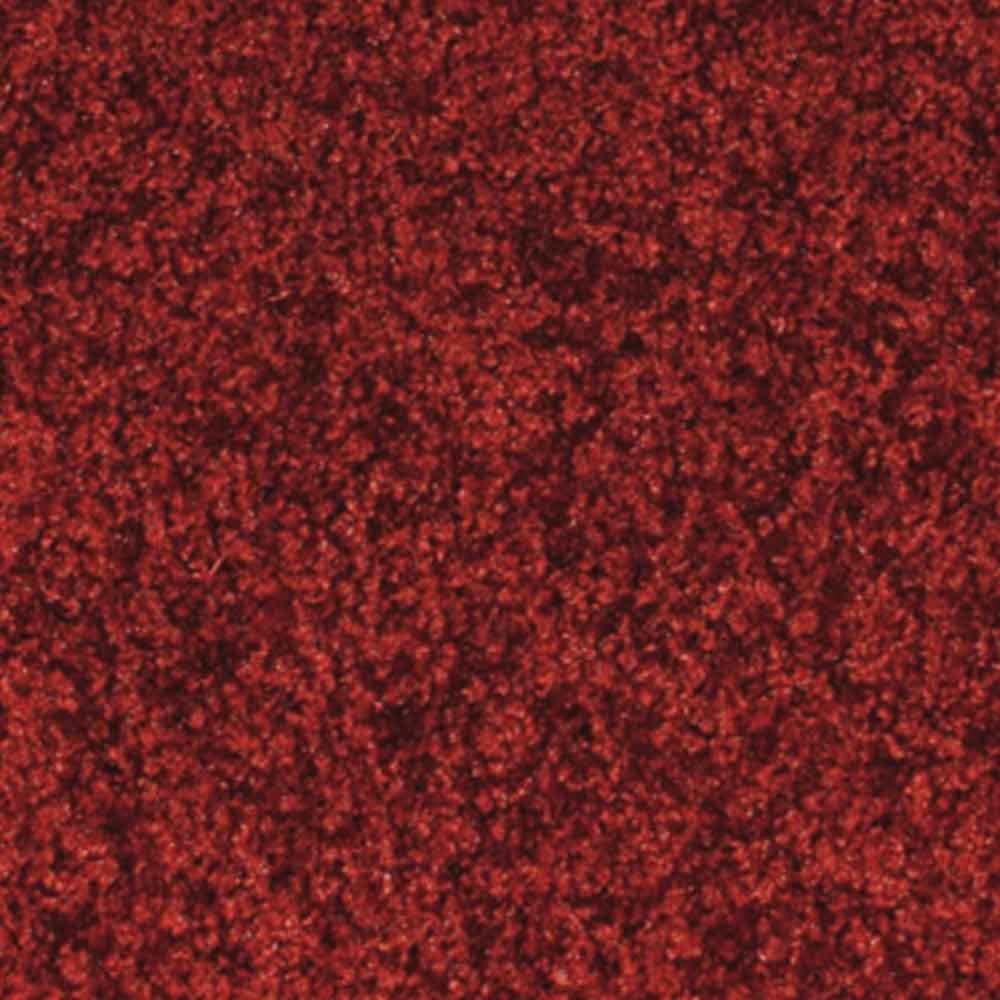 Miltex Schmutzfangmatte Eazycare Color - verschleiß- und rutschfest - in 3 Größen