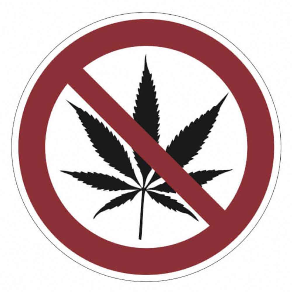 Verbotsschild Cannabis/Kiffen verboten
