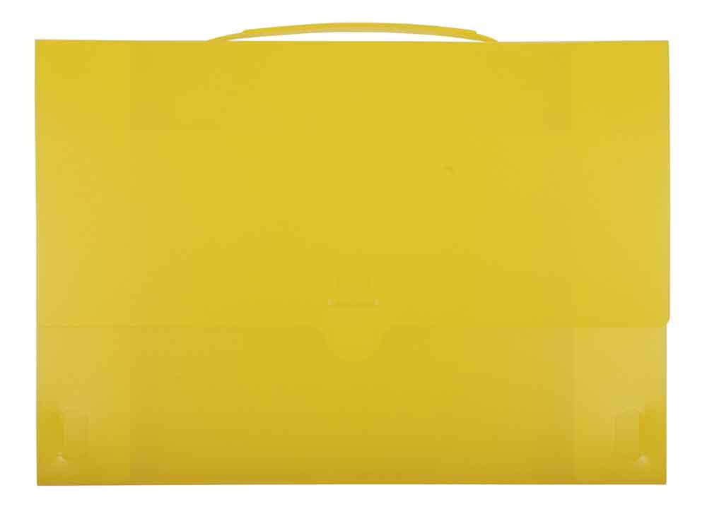 Farbige Sammel- und Präsentationsbox - DIN A4 - Füllhöhe 45 mm