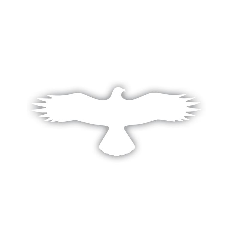 Aufkleber zum Vogelschutz - Symbol: Bussard - 2 Farben