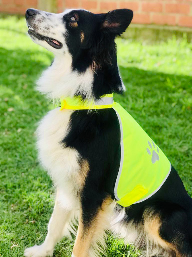 Korntex® Hunde-Funktionsweste „Buenos Aires“ - Farbe Gelb