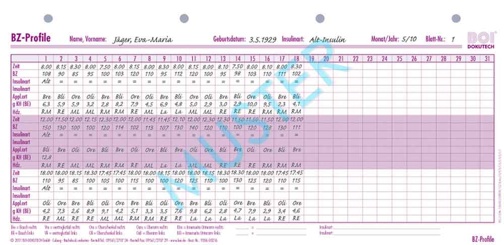 Formular "BZ-Profile" - Zubehör für Dokumentationsmappen Formular "BZ-Profile" - Zubehör für Dokumentationsmappen